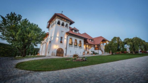 Гостиница Casa Timiș  Chițorani